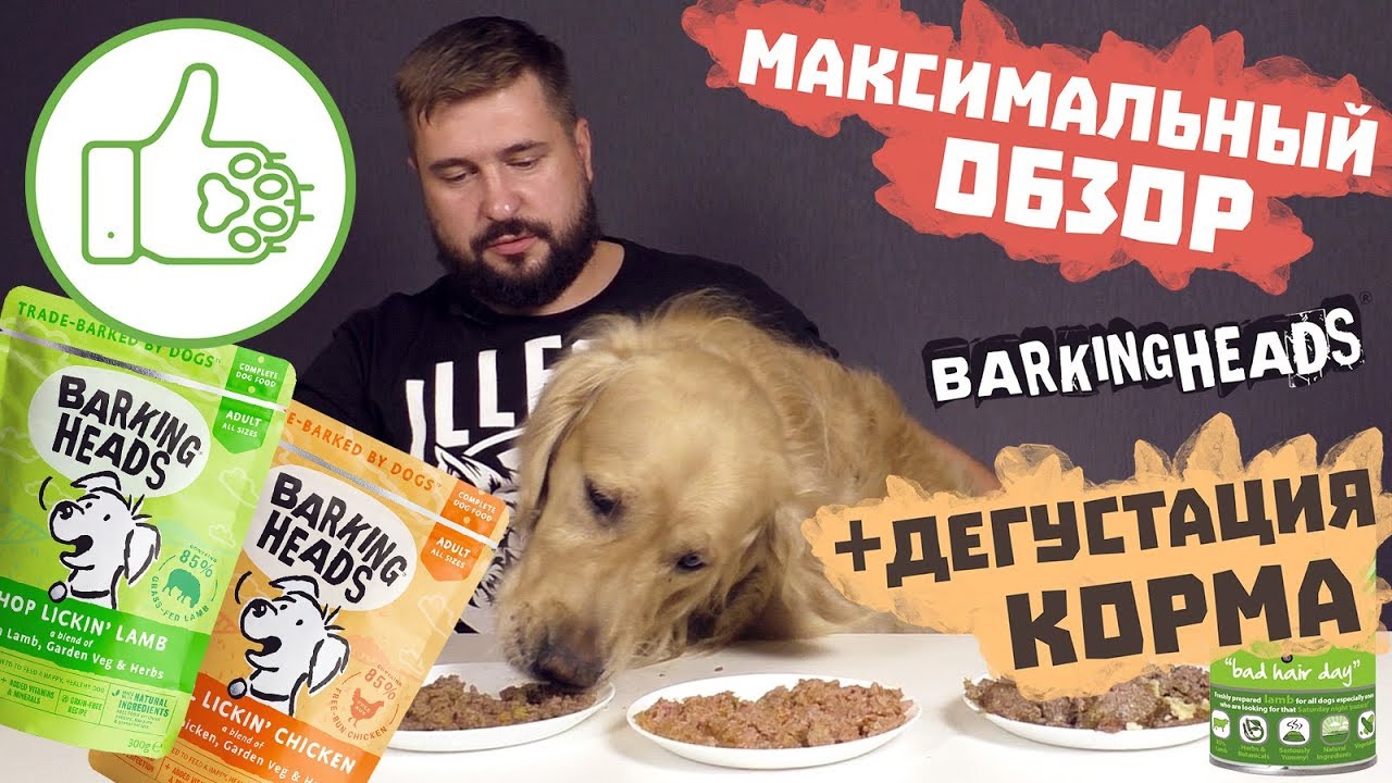 Barking Heads консервы для собак | Максимальный обзор корма | Влажный корм для собак Баркинг Хедс