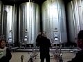Visita fabrica Anís del mono III
