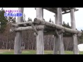 ゆる旅2013【青森県編】三内丸山遺跡 Sannaimaruyama Ruins 丸山天寿