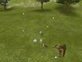 videos de Taming a Yeti