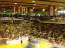 Fans aus Valladolid