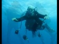 videos de Ferragosto Subacqueo
