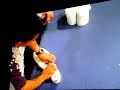 Towel Animal Folding Demonstration Holland America Line Towel Animal Folding Demonstration Holland America Line
