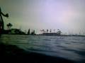 videos de drive by on large seal