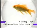 BRTN Nieuwsdienst - A fresh new look! (19960331) BRTN Nieuwsdienst - A fresh new look! (19960331)
