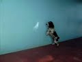 Crazy Dog Cachorro Maluco