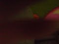 Thumbnail #3