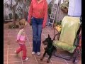 Adiestramiento Canino Tarragona Adiestramiento Canino Tarragona