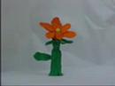 La conquesta de la flor