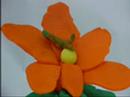 La conquesta de la flor