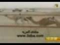 ملك الناموس فزاع .ابن فاره