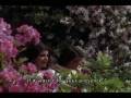 aisa sama na hota R D BURMAN LATA.flv