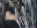 videos de opening