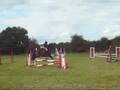 videos de Sunbeam Lacey - Colette Horse show