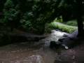 Cambuslang Public Park - Burn in Spate