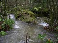 Improvisation With Pagan Songs (High Audio; Panpipe)