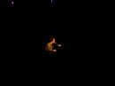 Ben Folds - Still Fighting It