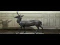 Tokyo Police Club - In A Cave