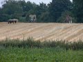 Claas 630C