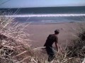 sandboarding-compolation.html