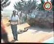 amal movement harakit amal liban lebanon