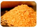 Salt