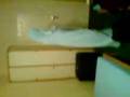 Die Mumie