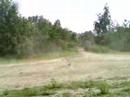 Marders first run Marders first run