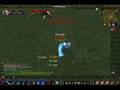Antwow private server hunter hack (WoW)