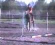 my jump 3