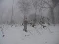 Snowboard Japan Niseko