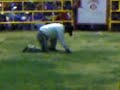 aguilita de zepayautla en el df