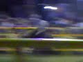 aguilita de zepayautla en el df