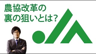 農協改革の裏の狙いとは?