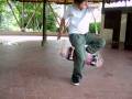 videos de flamingo.