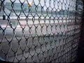 WOO Sprinters Syracuse Moody Mile Billy Pauch Interview Pt E