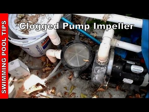 how to unclog pool pump impeller