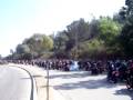 SO CAL BIKER FUN RUN AND DON NICO MOTORCYCLE STUNTING VIDEO 800 BIKES
