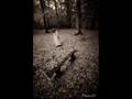 SenDe G�DerSen