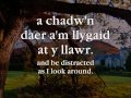 Garth Celyn - Gwilym Bowen Rhys (geiriau / lyrics)
