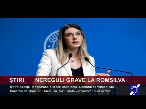 Nereguli grave la Romsilva