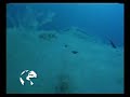 Convenio FB-Oceana