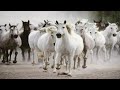Kids Songs By Rock Bands. Please note that i did NOT make this video, Its was made Burnin8r55555. I just find videos that I like and I spread them for other people to enjoy.