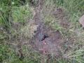 Sparkler bomb aftermath video 2