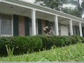 Failed Bush Jump