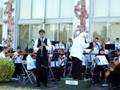 Weber's Clarinet Concerto No. 2, Polacca