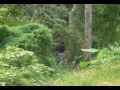Airsoft M�xico, Coatzacoalcos.