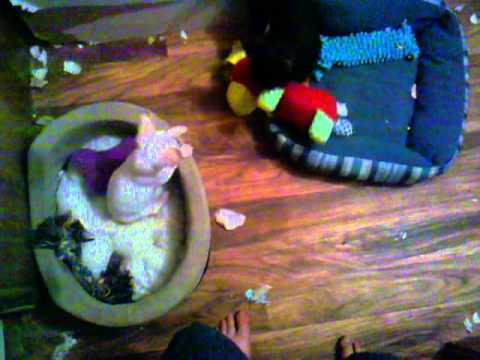 kaijirushi - This video was uploaded from an Android phone.