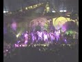 Rastrillos (Tijuana 07) (1)