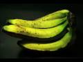 Bananaity